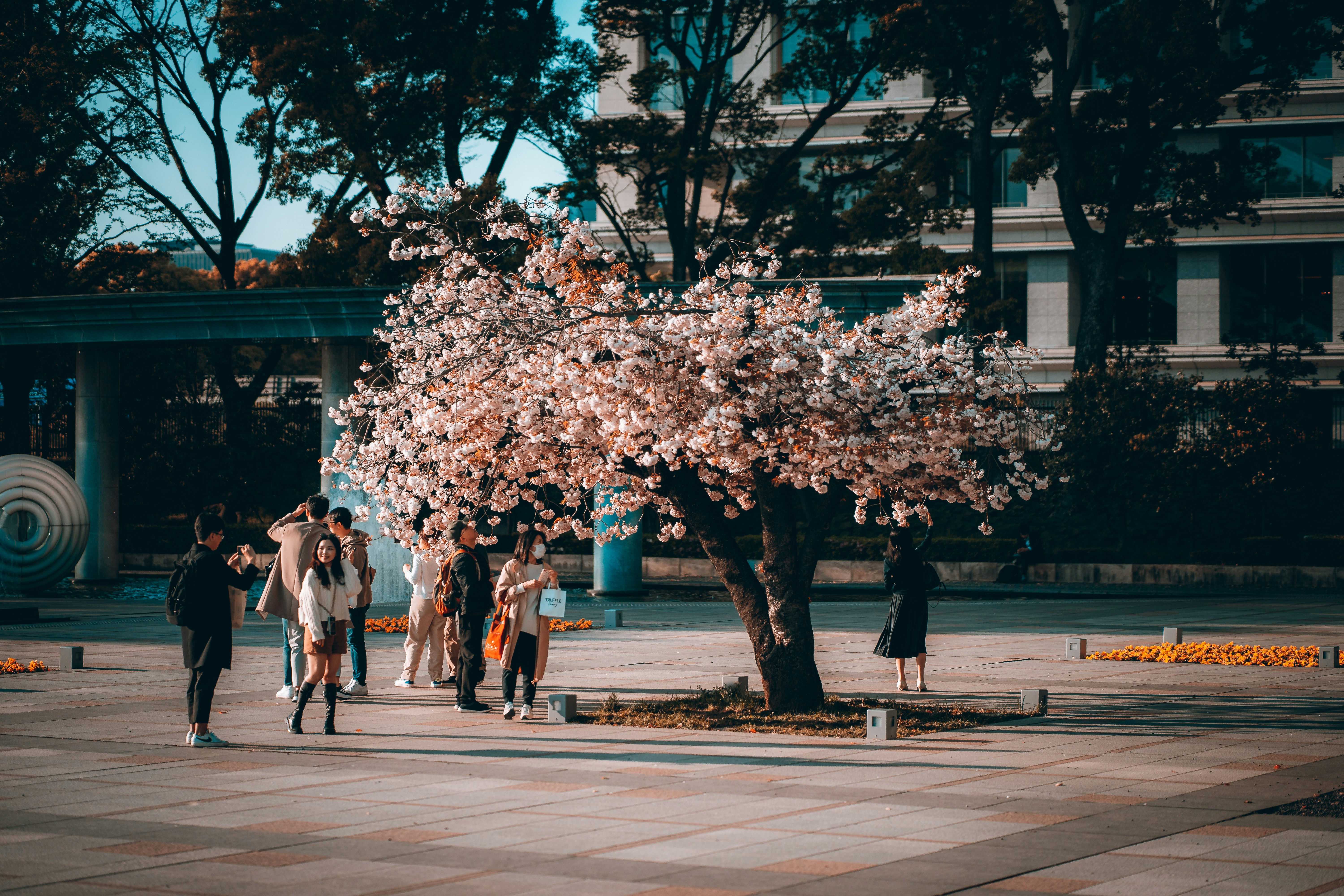 a group of people standing around a tree, 