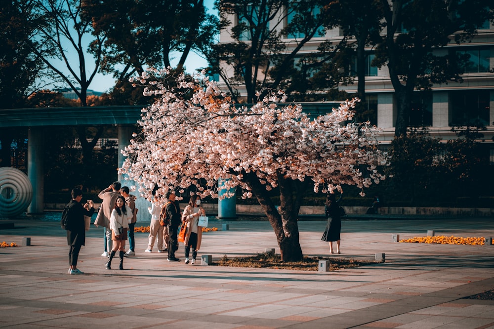 a group of people standing around a tree