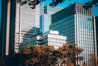 A cluster of modern office buildings with reflective glass facades and a mix of rectangular architectural styles. The foreground features lush green trees underlining the urban landscape.