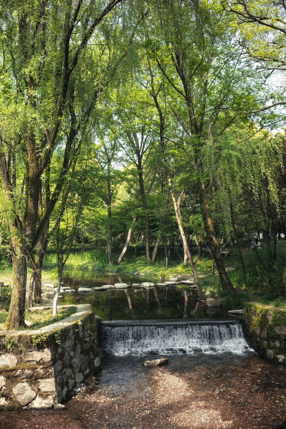 a small waterfall in the middle of a forest