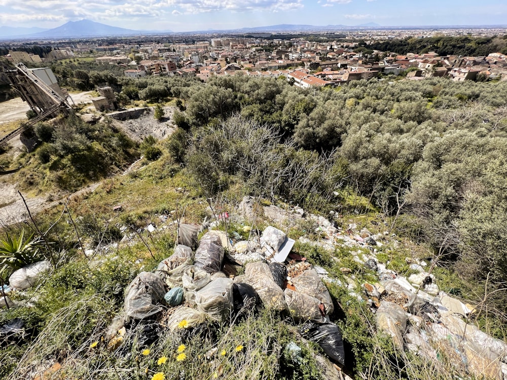 a view of a city from the top of a hill