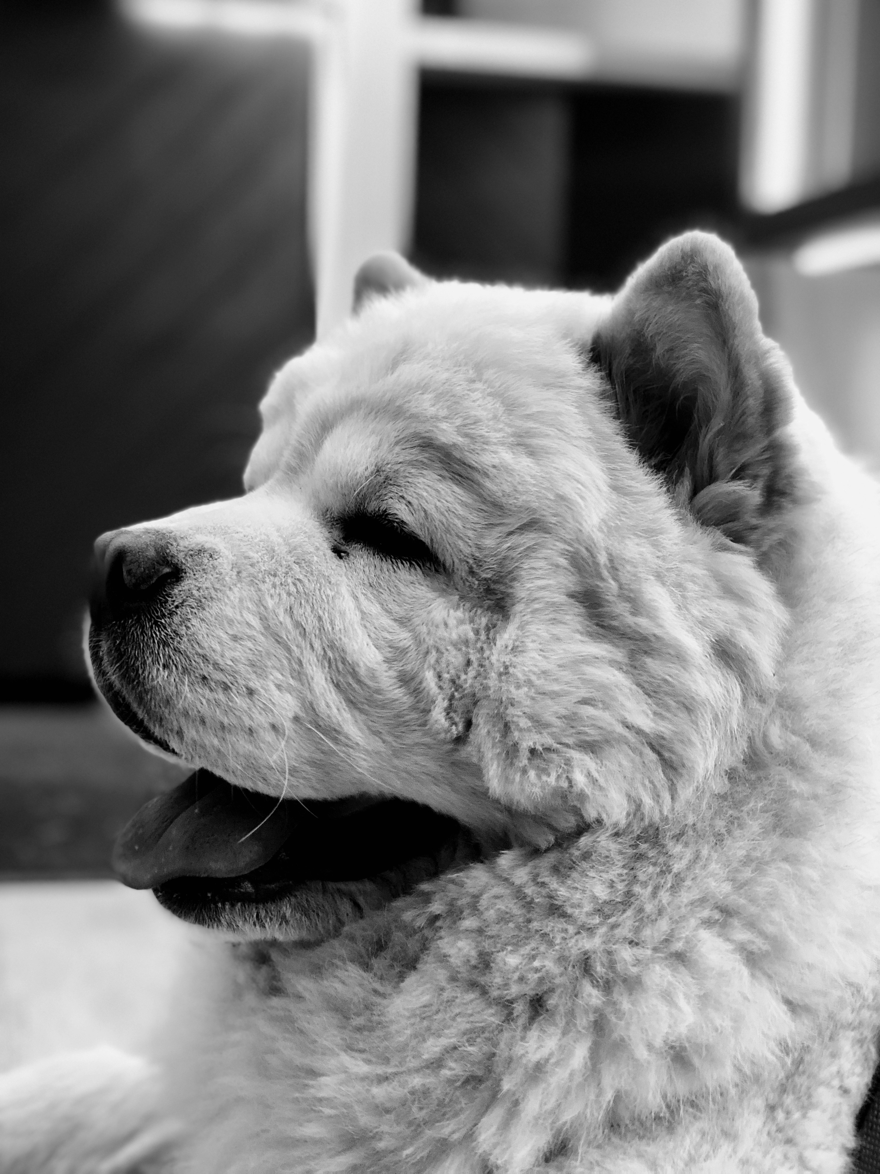 Photo by harshil0128