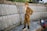 A young boy in a military uniform stands in front of a war memorial wall decorated with plaques listing names and dates. The boy is adorned with medals and insignia on his uniform and holds a respectful stance. There are flowers laid at the base of the memorial wall.