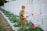 A young child in a military-style uniform is holding a bouquet of white and red flowers while standing in front of a row of white gravestones. The setting appears to be a cemetery with neatly arranged green plants and flowers around the gravestones.