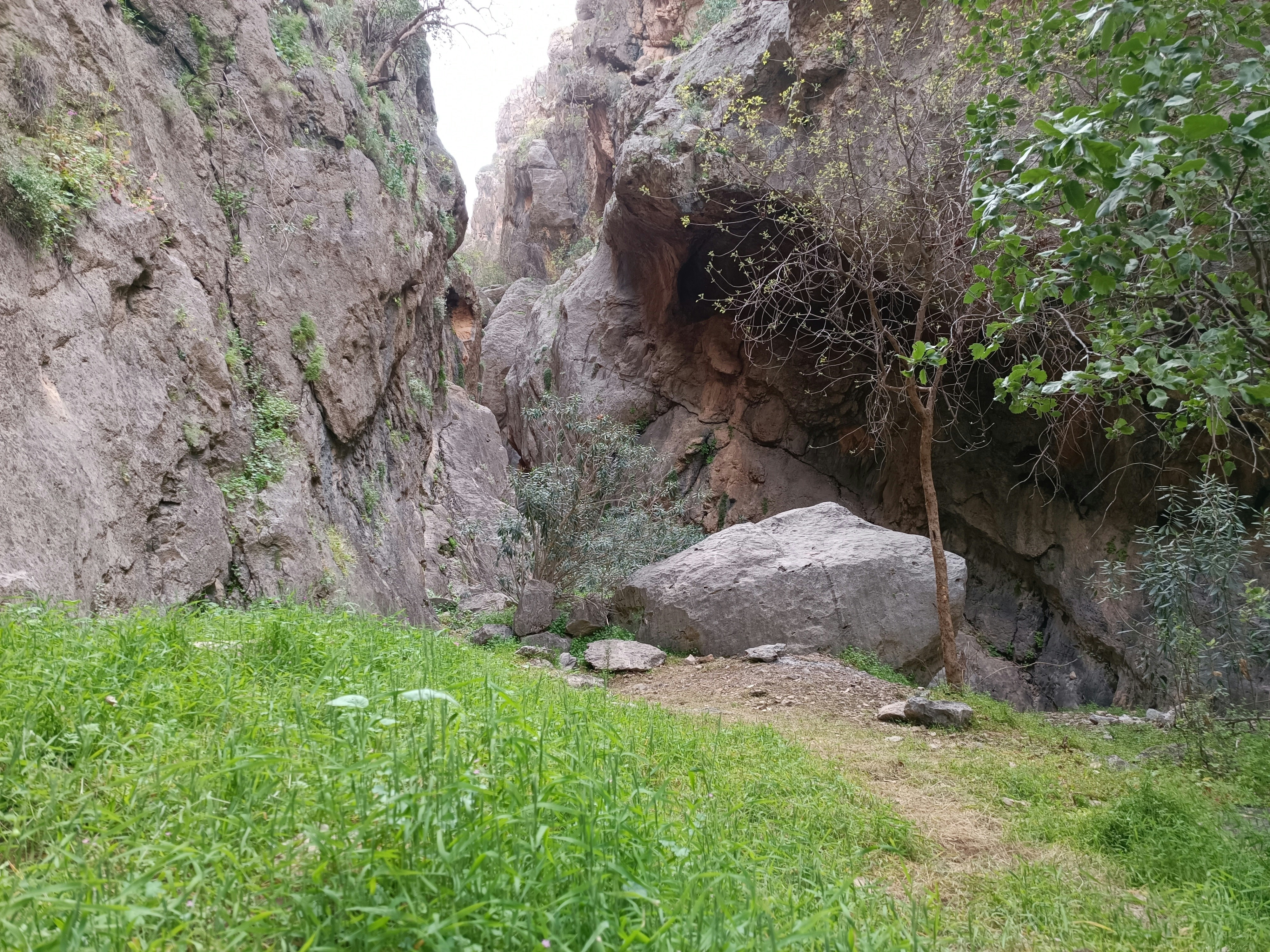 Photo by naserkhosro