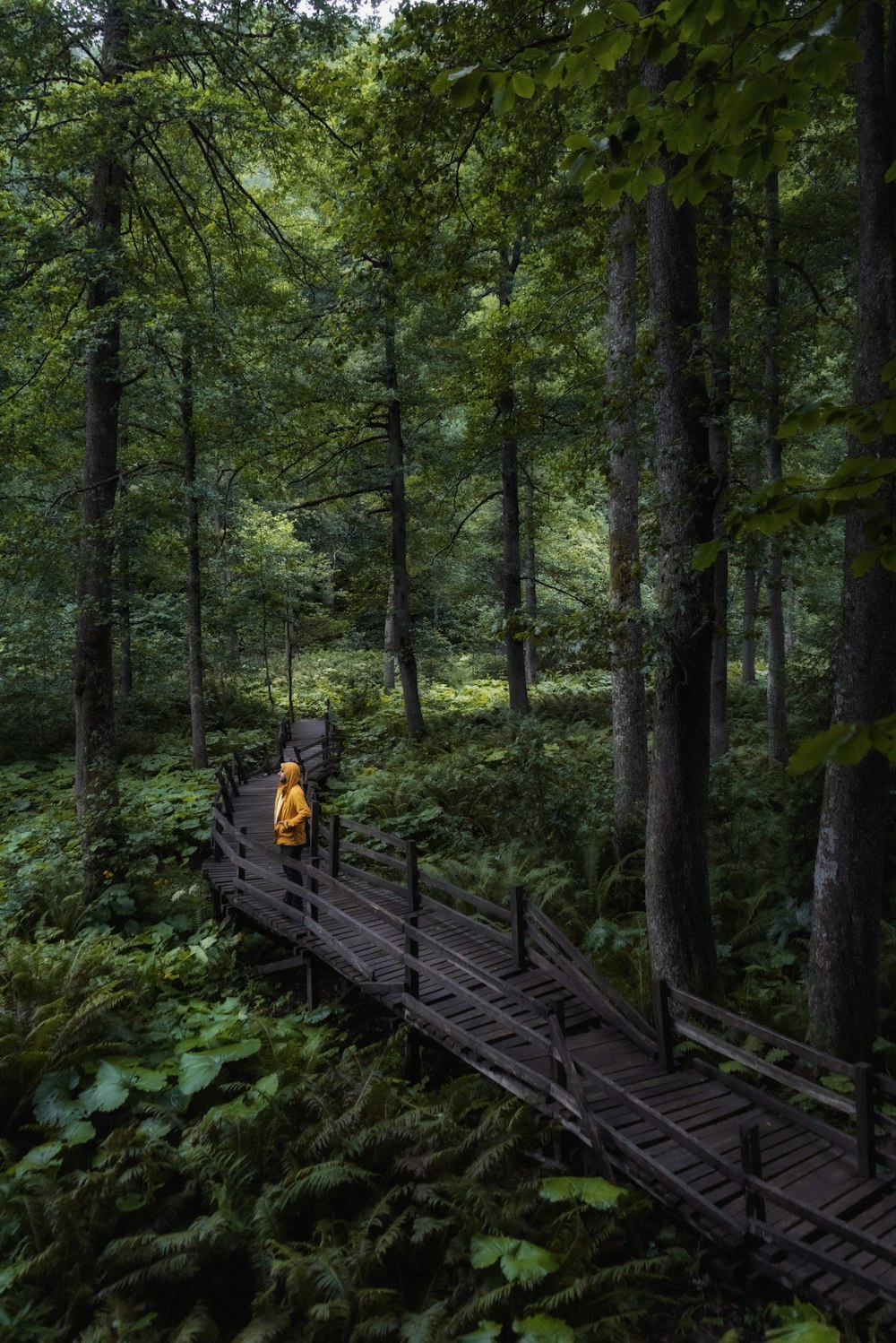 a person walking across a wooden bridge in a forest