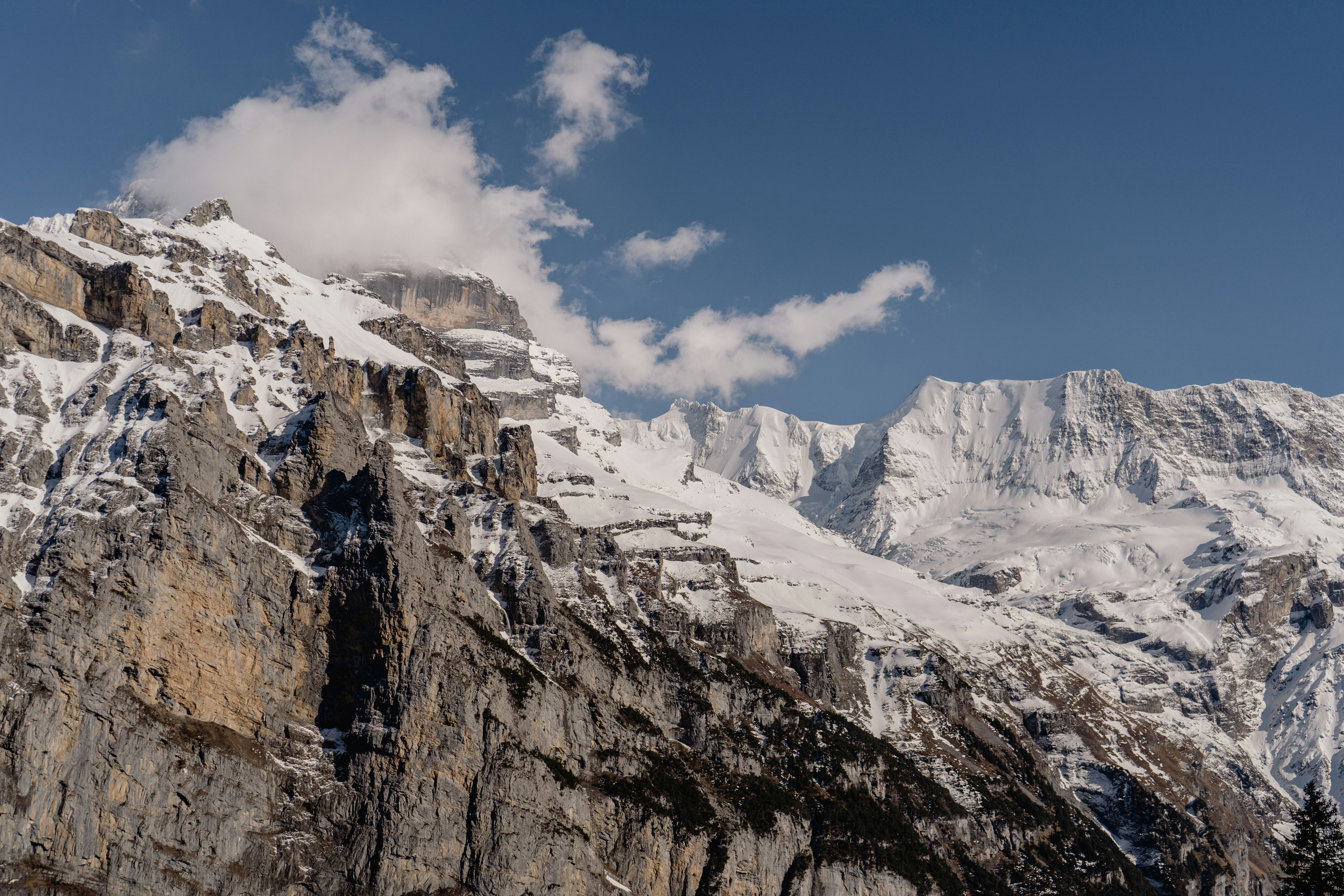 ❤️送料込値下げ❤️絵画★謎の山の冬景色★ガラス額入り 雪中熊之図 #上島鳳山 画 Bear in the snow Painted by #Ueshima