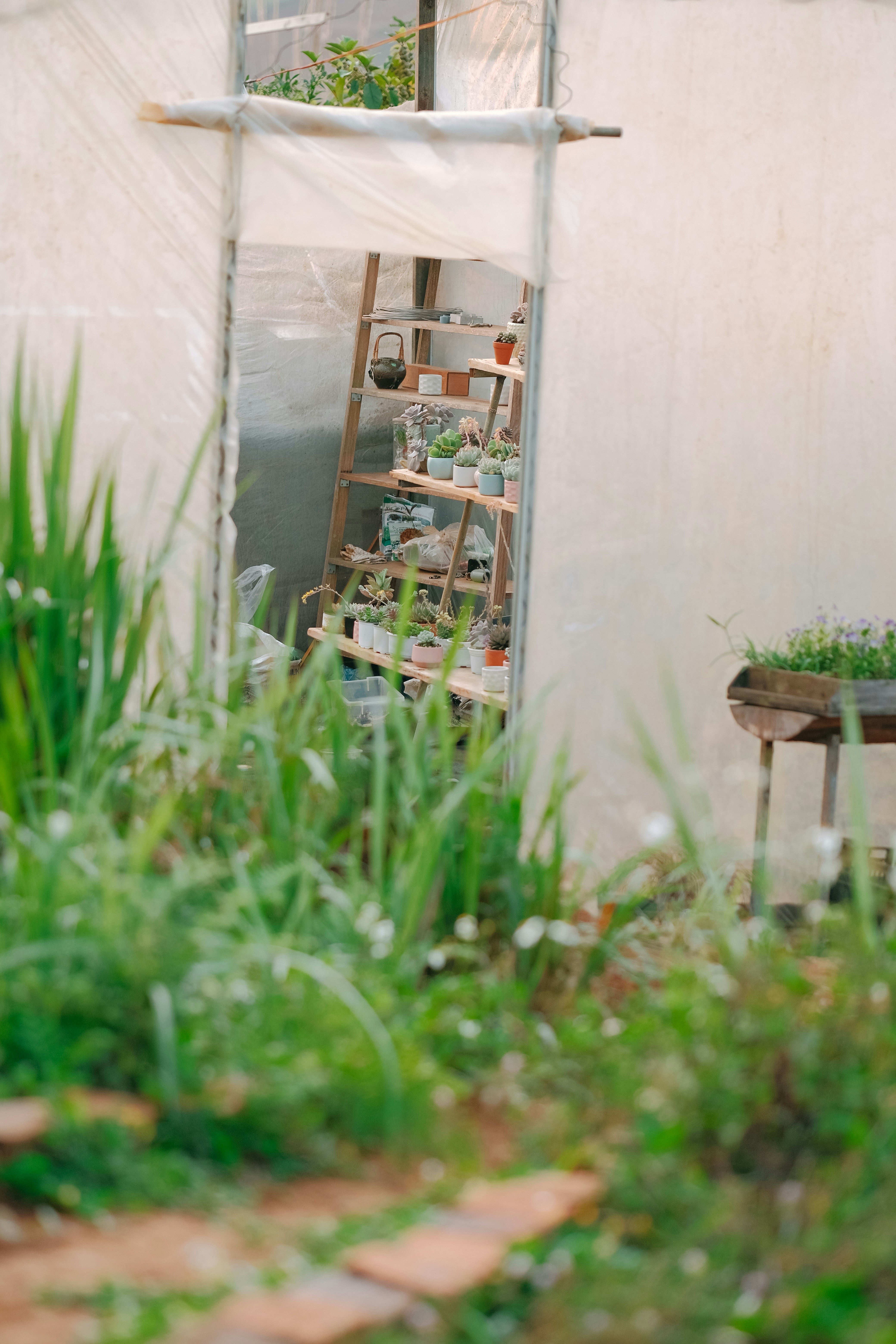 Photo by nguyentrungnguyen