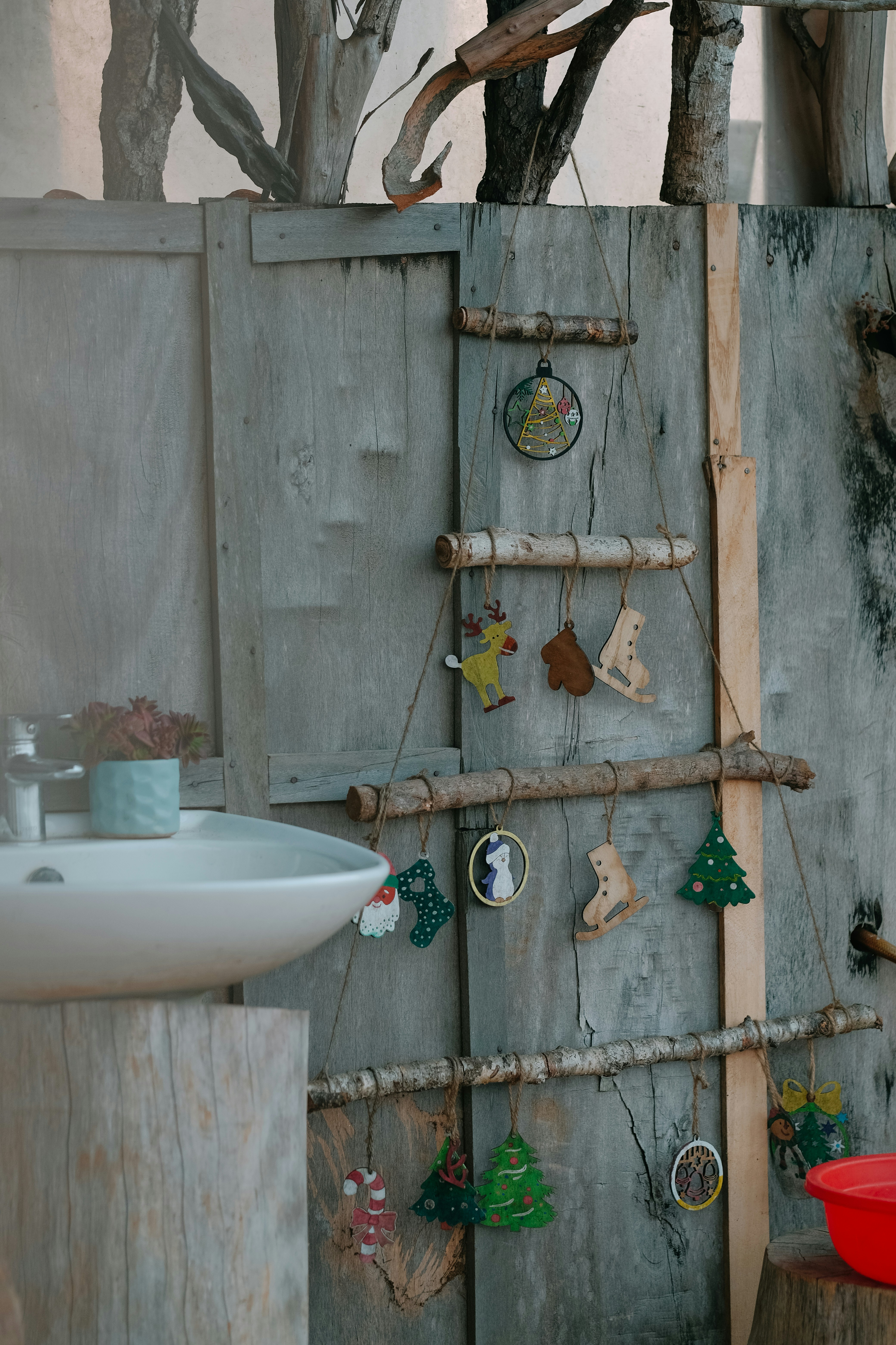 Photo by nguyentrungnguyen