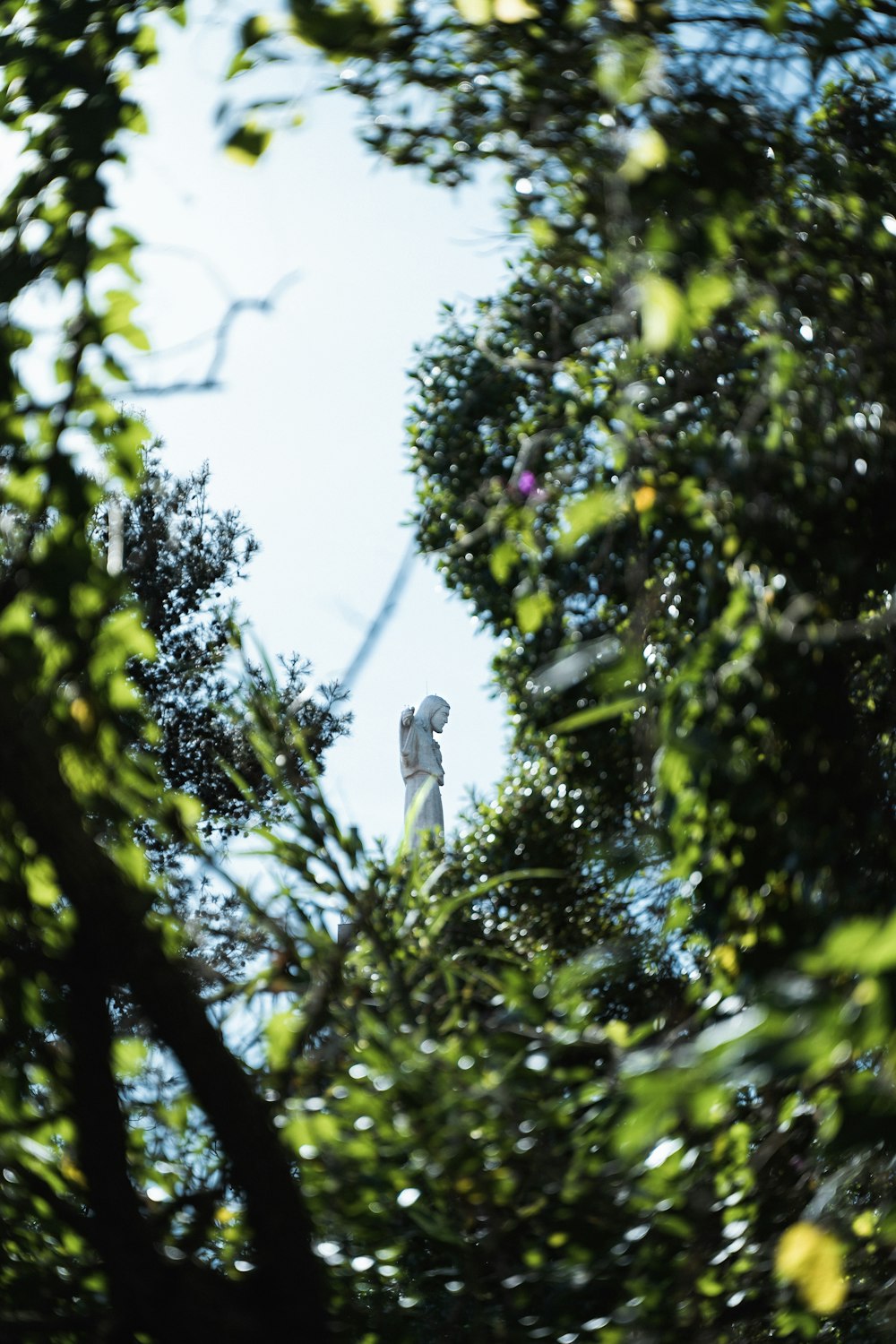 a bird sitting on top of a tree branch