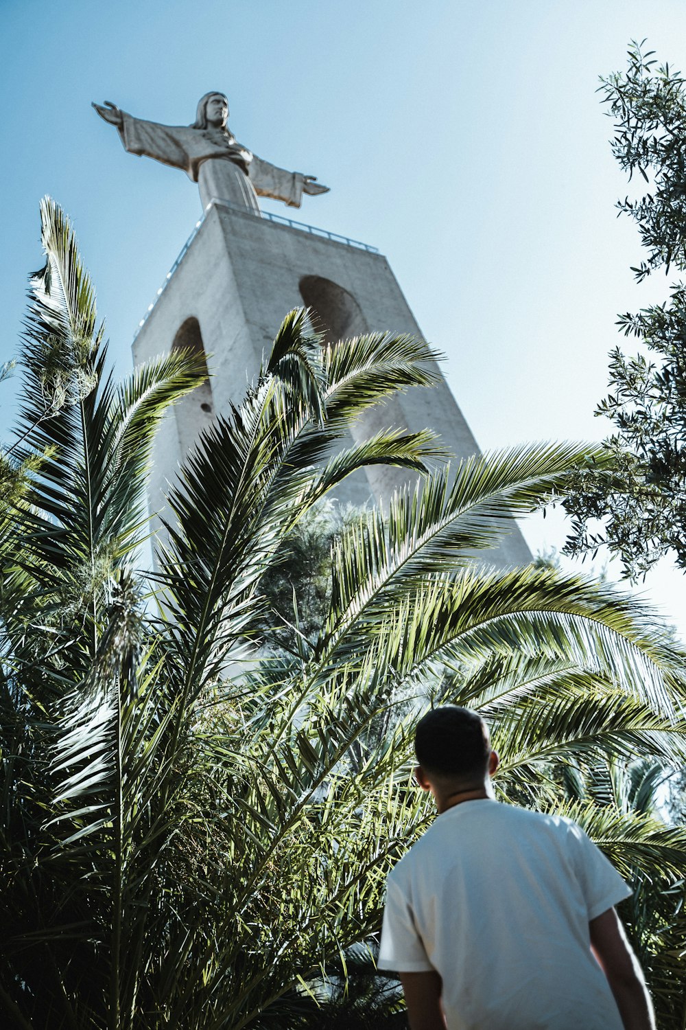 a man standing in front of a palm tree