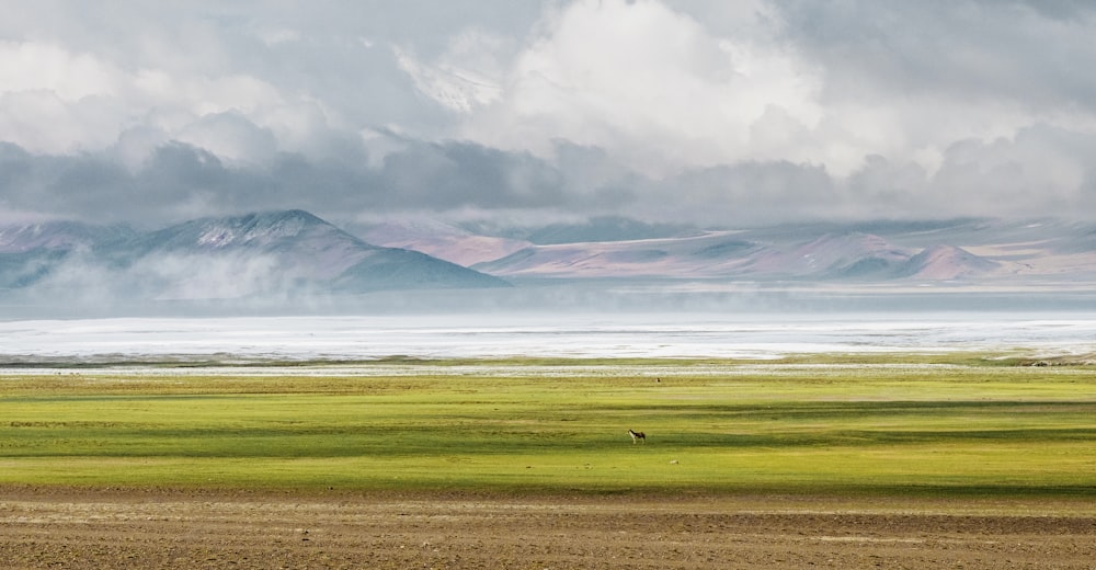 a large open field with mountains in the background