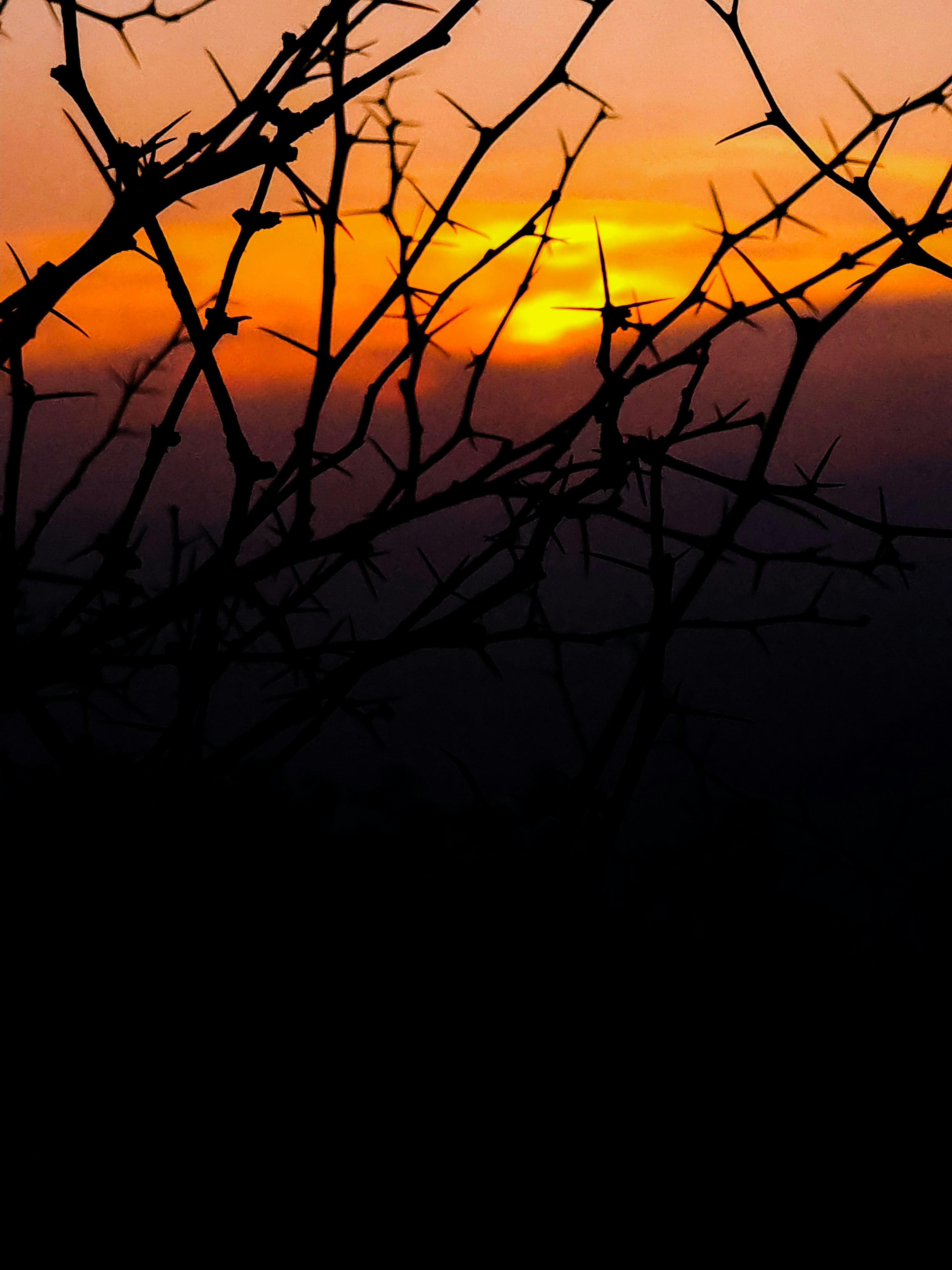 Photo by captain_drack