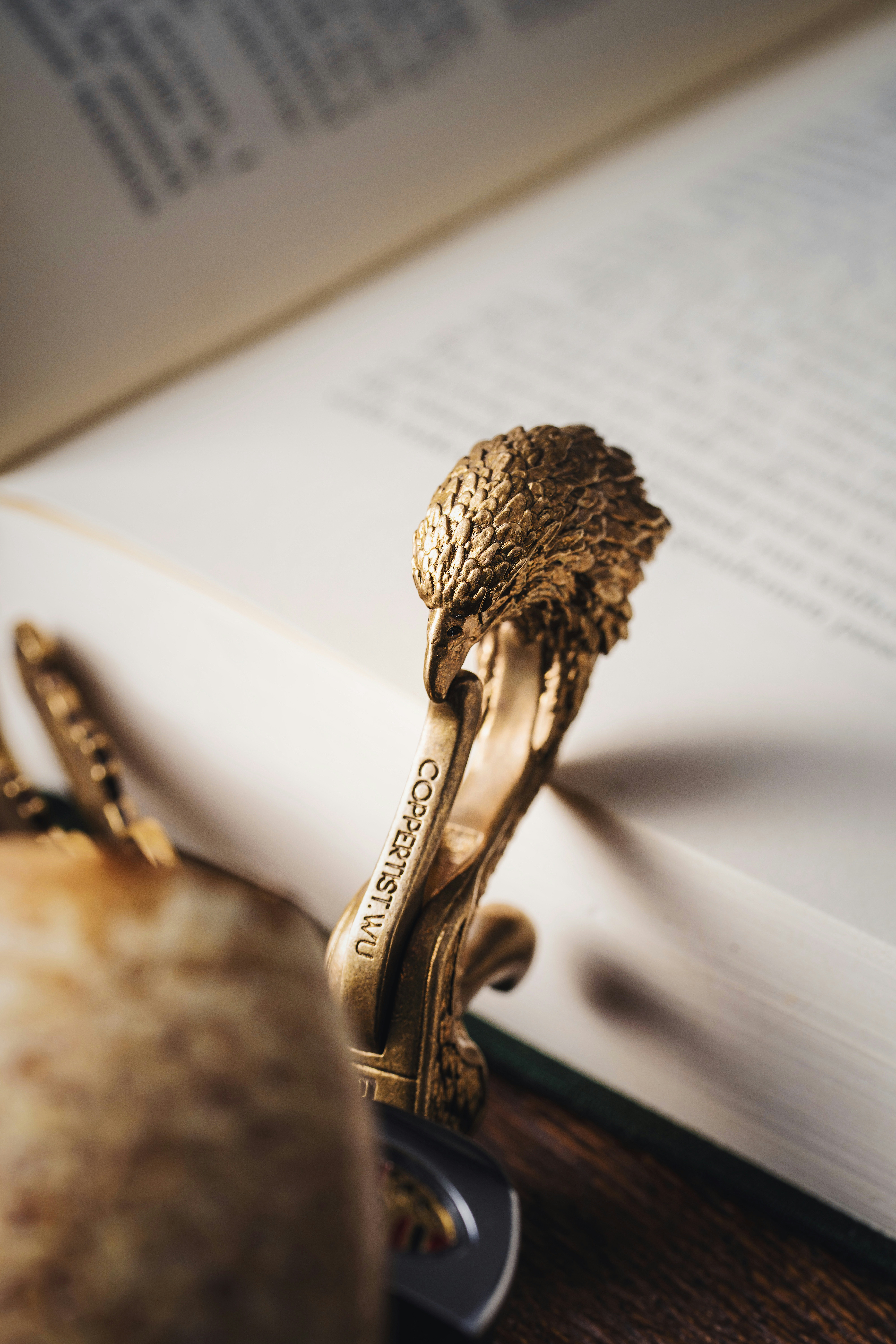 Photo by coppertistwu