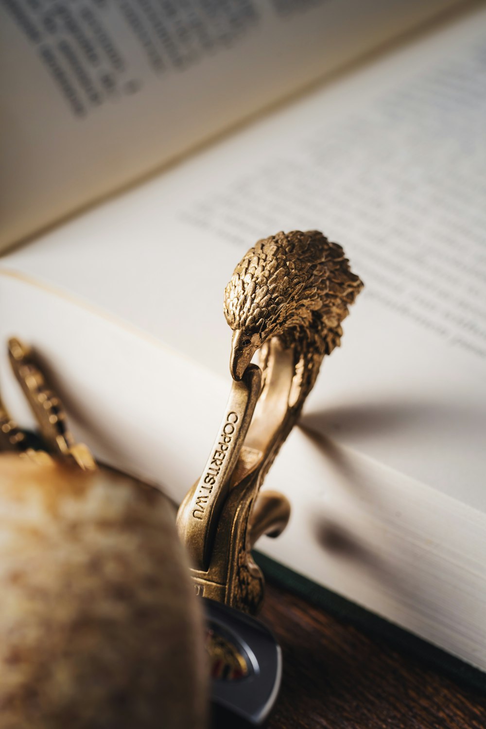 a book with a golden handle on it