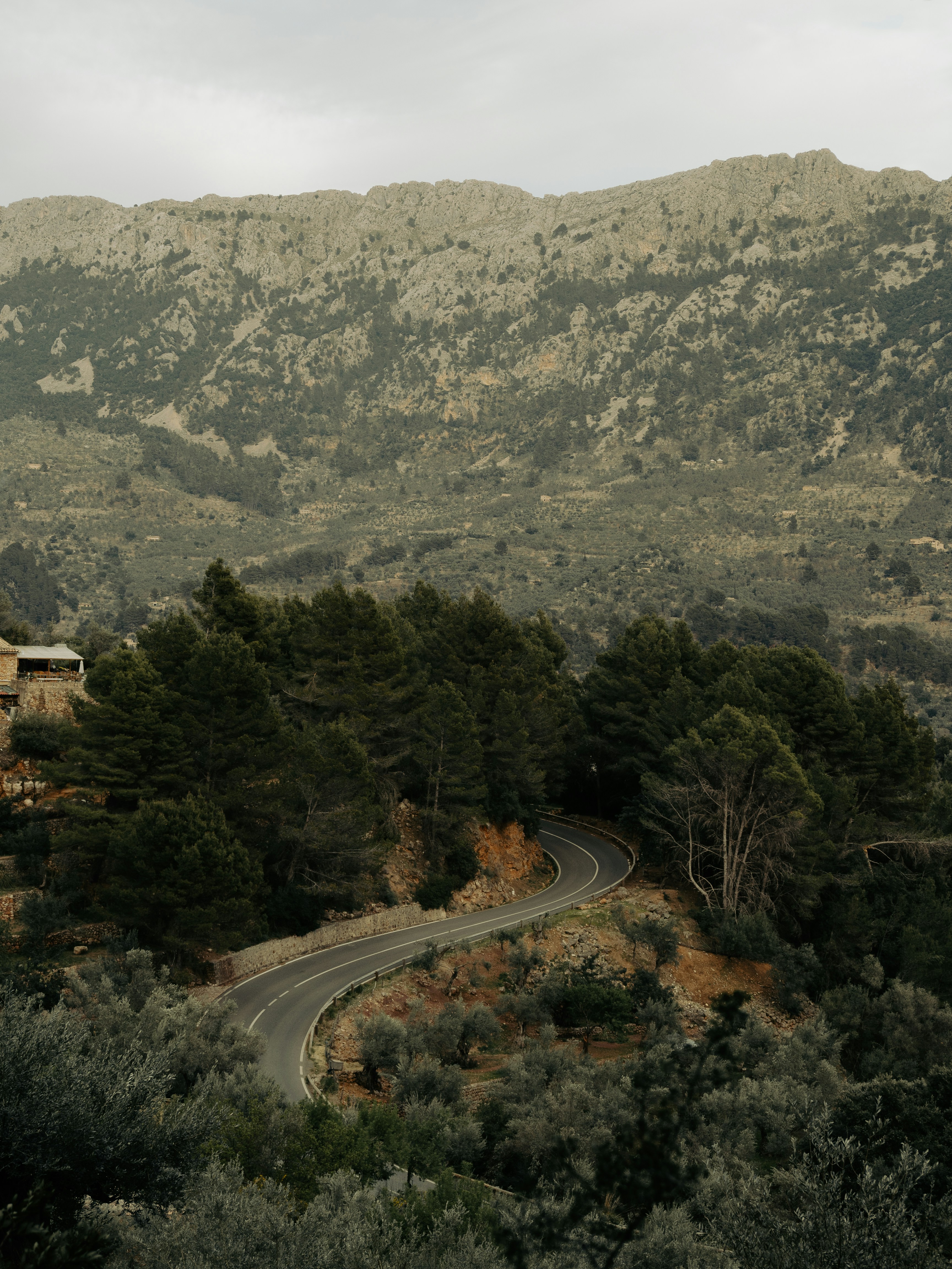 Photo by rasmusandersen93