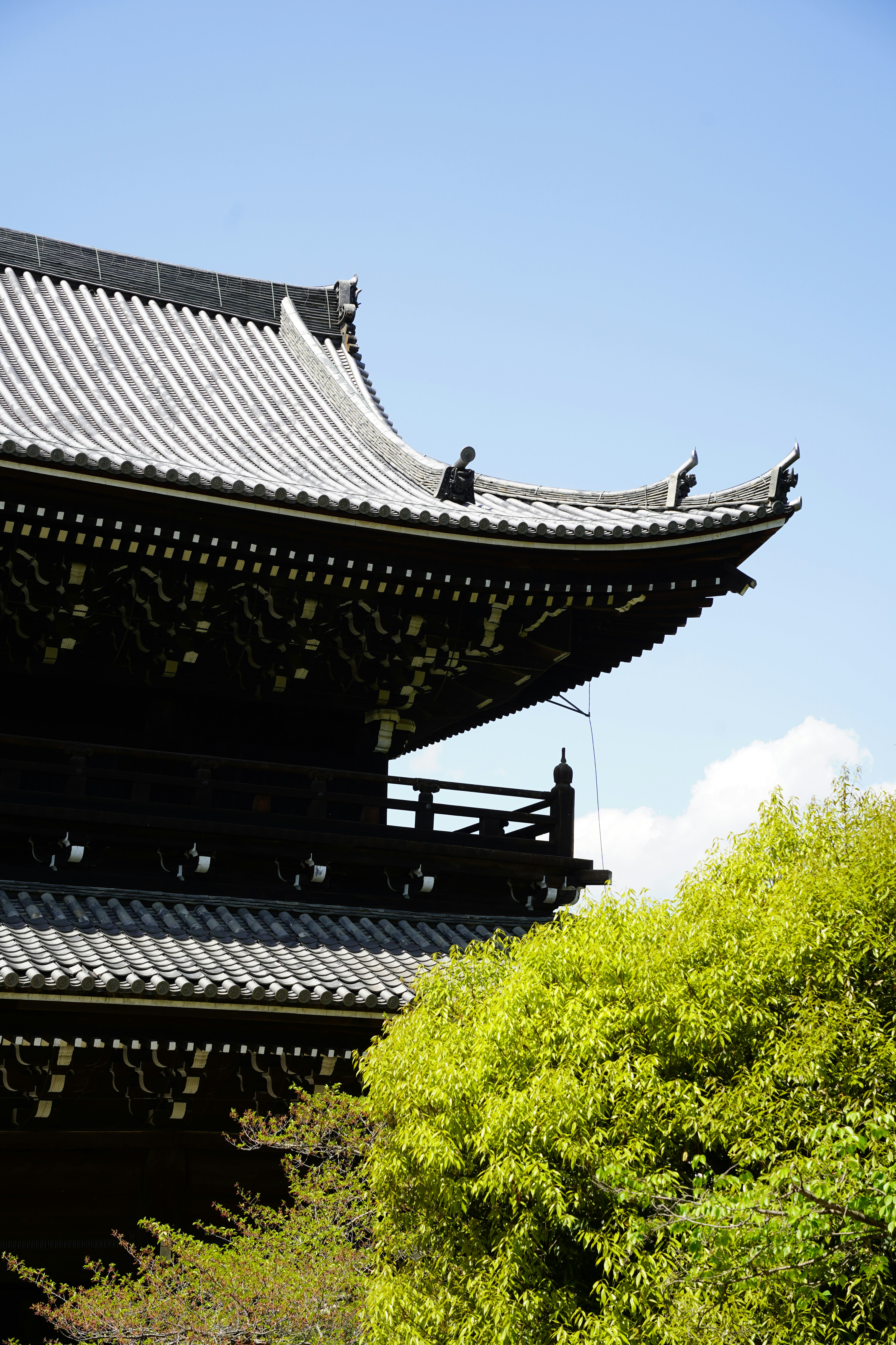 Photo by shpetimujkani