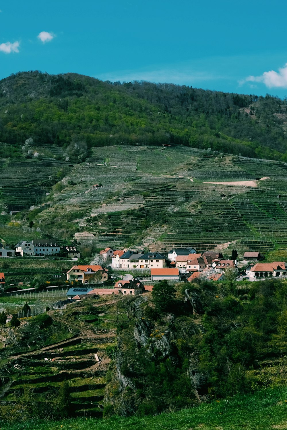 a scenic view of a small village on a hill