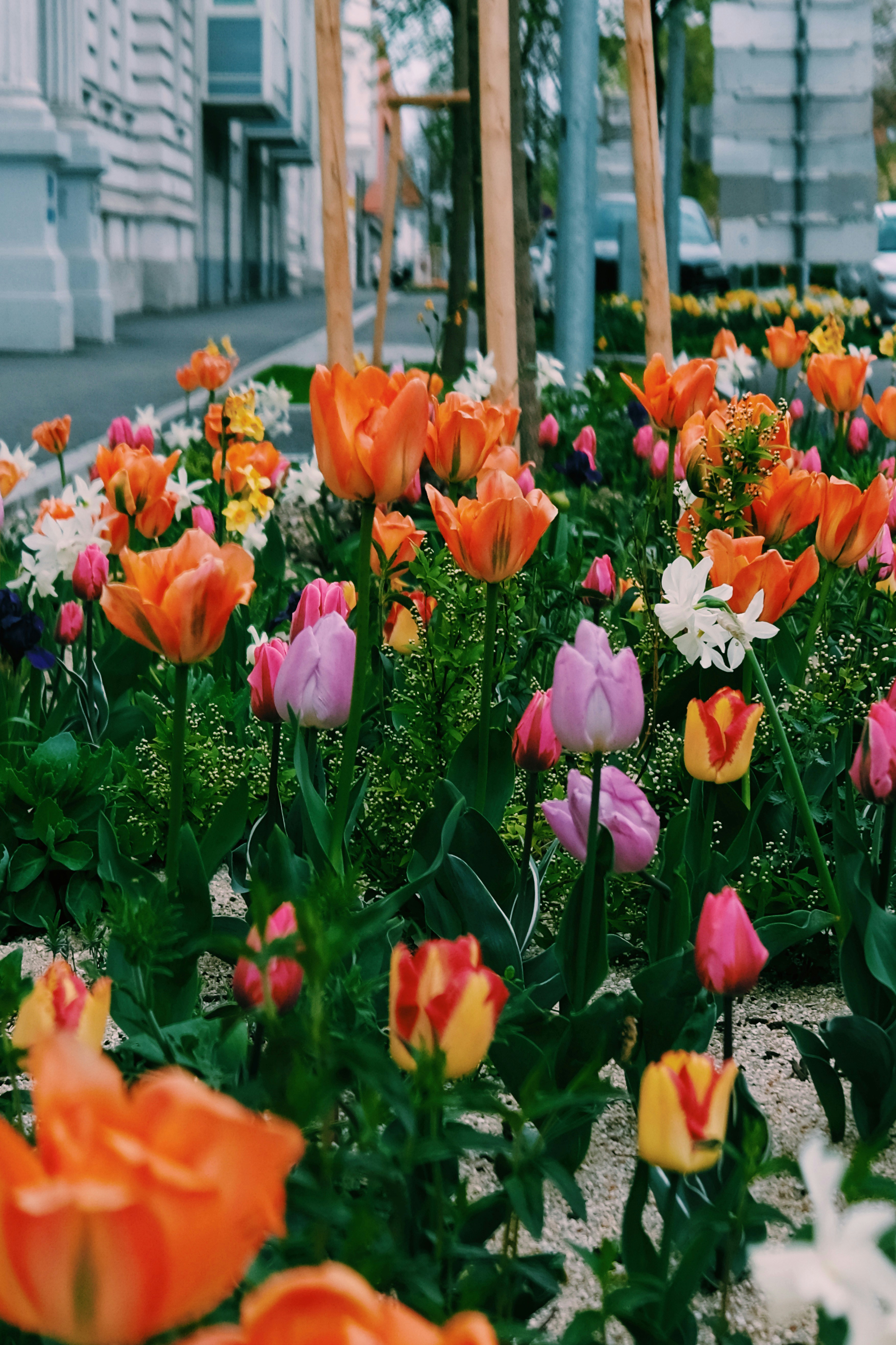 Photo by cherenkevich