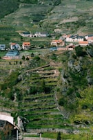 A picturesque landscape with terraced hillsides covered in lush greenery and small vineyards. Scattered houses with red and dark roofs are nestled among the fields, surrounded by rocky terrain and natural vegetation. The arrangement of terraces creates patterns across the slopes, indicative of agricultural practices.