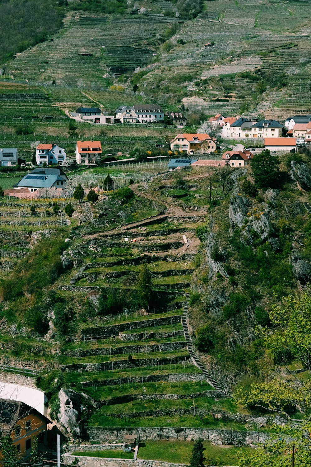 a hillside with a lot of stairs going up it