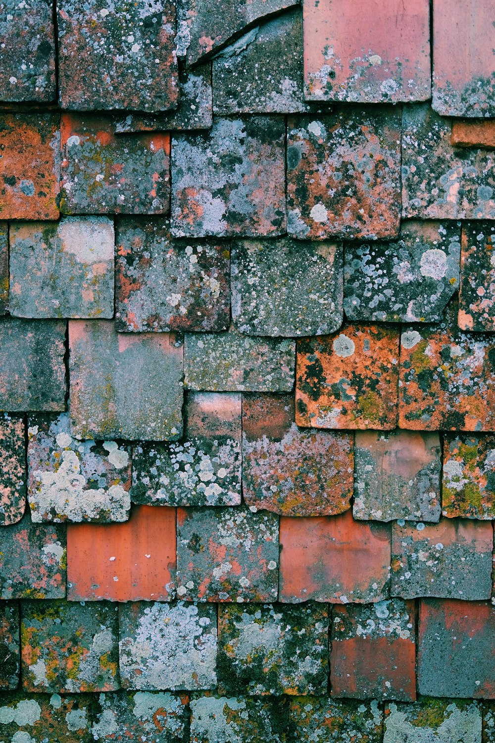 a close up of a brick wall with moss growing on it