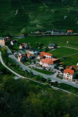 Aerial view of a village surrounded by green fields and terraced hills. The village consists of several houses with red roofs clustered along winding roads. The landscape is lush and well-maintained, with patches of vegetation and trees scattered throughout the area. The scene conveys a sense of tranquility and a rural lifestyle.