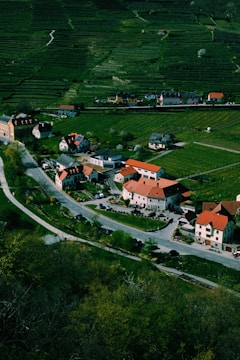 Aerial view of a village surrounded by green fields and terraced hills. The village consists of several houses with red roofs clustered along winding roads. The landscape is lush and well-maintained, with patches of vegetation and trees scattered throughout the area. The scene conveys a sense of tranquility and a rural lifestyle.