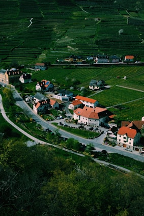 Aerial view of a village surrounded by green fields and terraced hills. The village consists of several houses with red roofs clustered along winding roads. The landscape is lush and well-maintained, with patches of vegetation and trees scattered throughout the area. The scene conveys a sense of tranquility and a rural lifestyle.