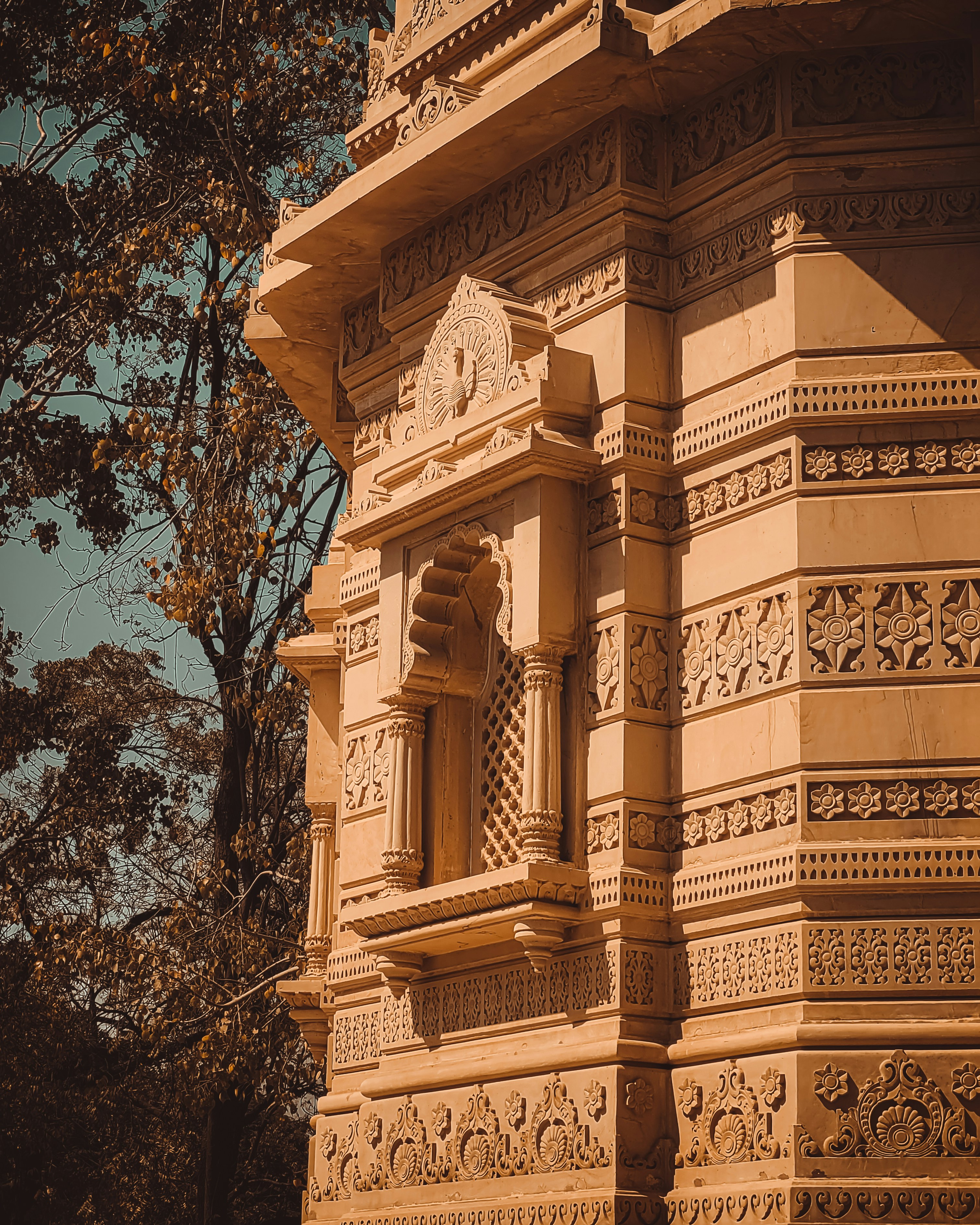 Photo by shutterbug_19_