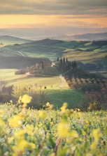 A charming Tuscan village street lined with cypress trees under a golden sunset.