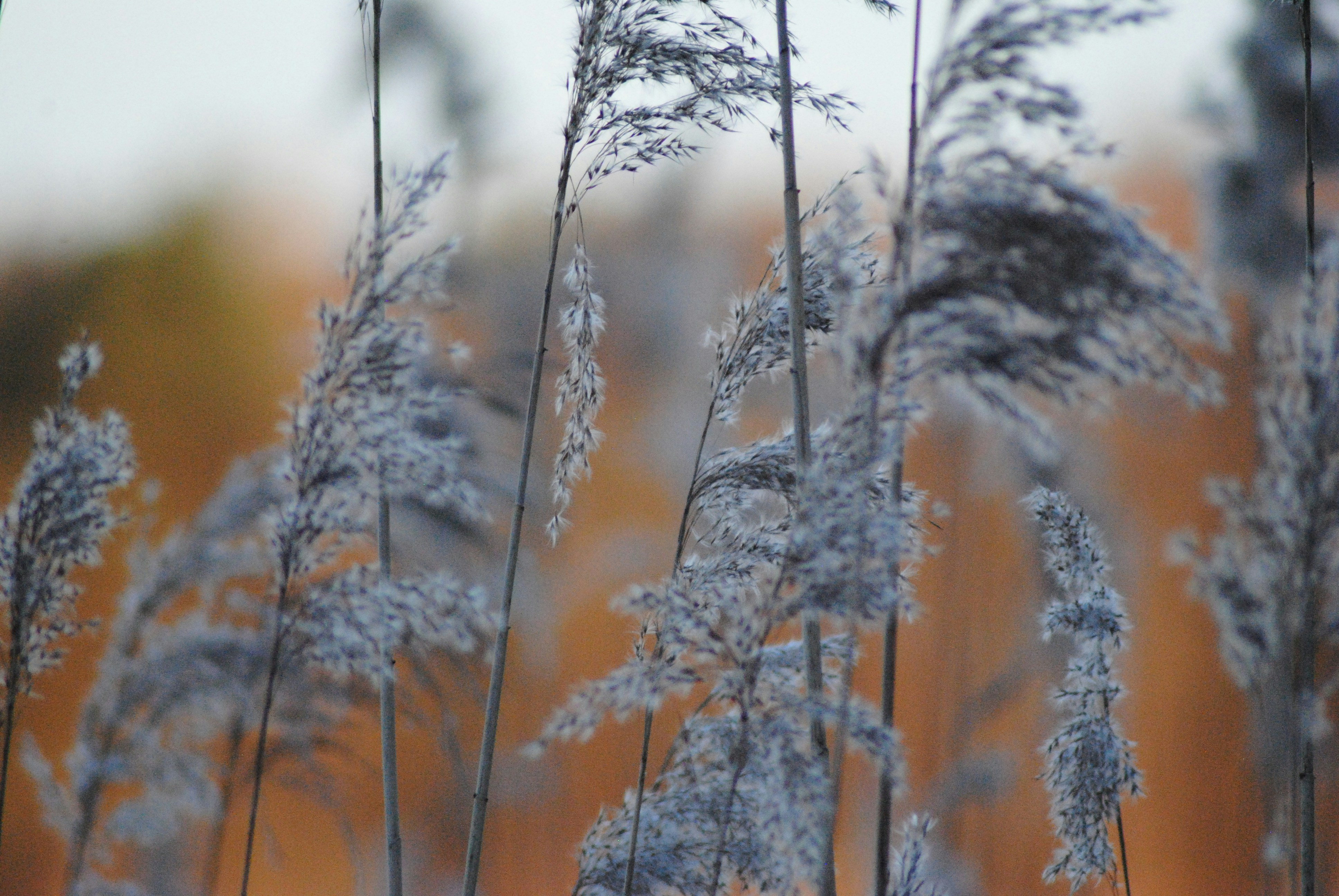 Photo by anny191