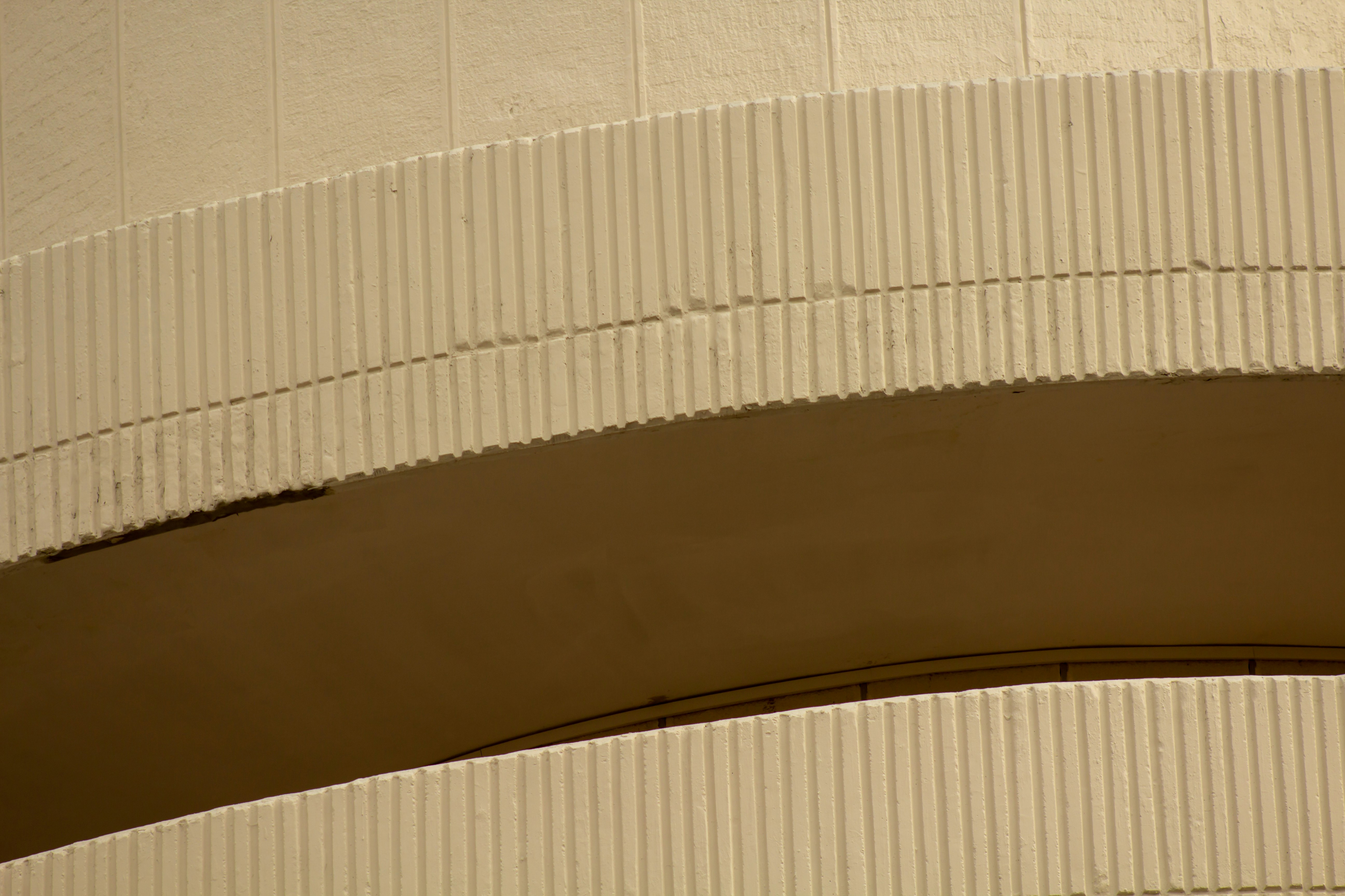 un oiseau est perché sur le côté d’un bâtiment
