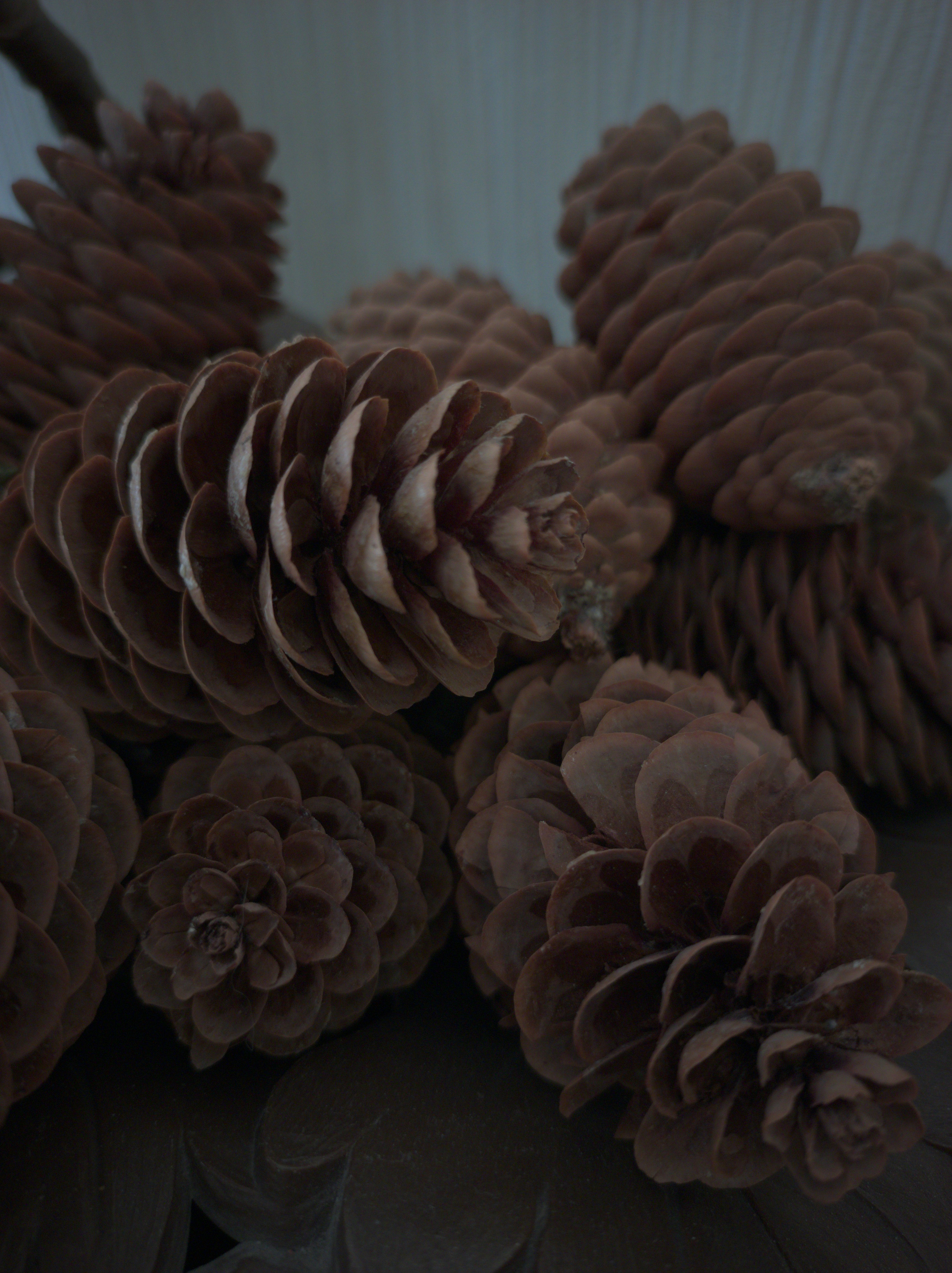 Handcrafted Pine Cone Decor