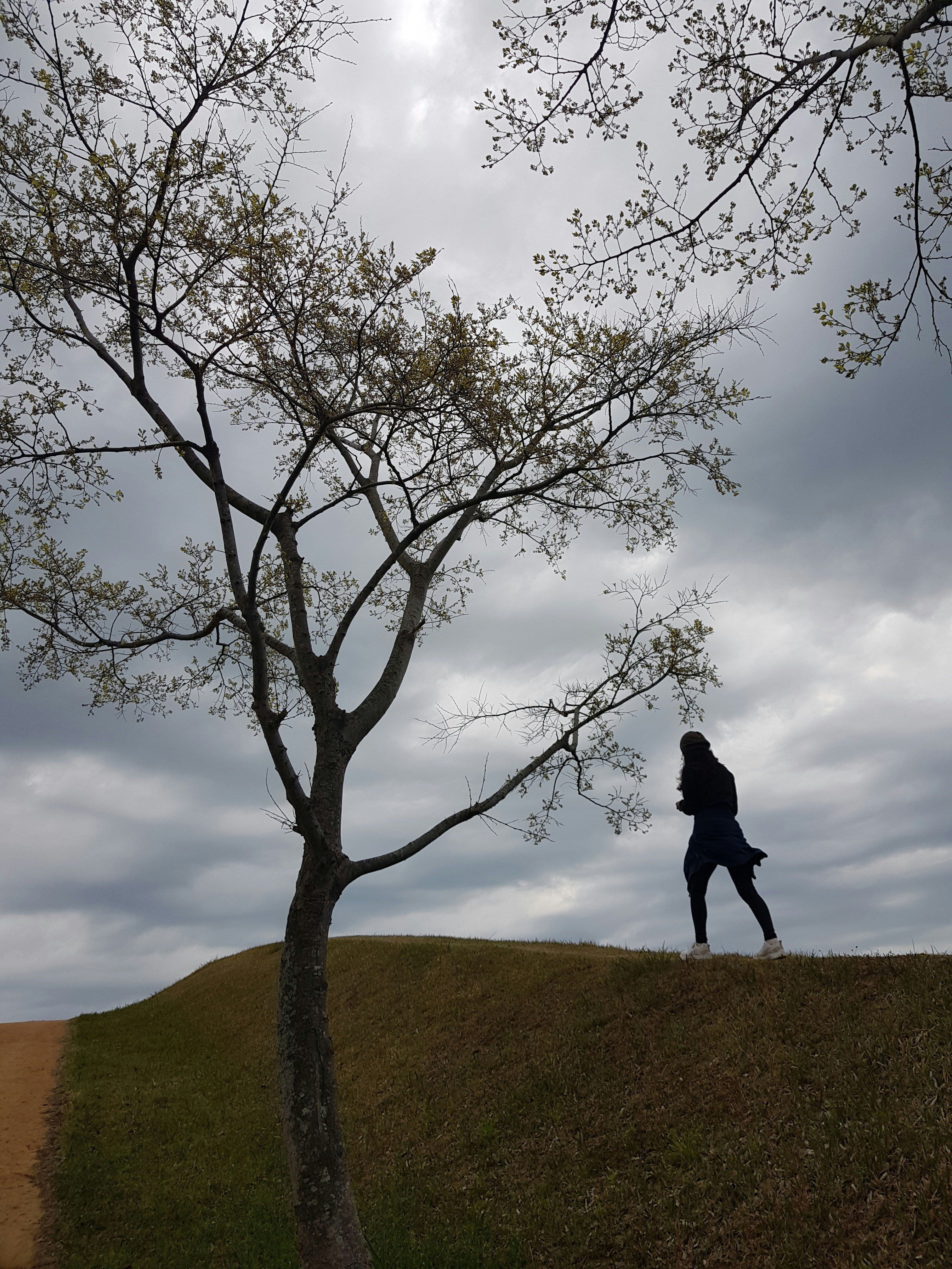 una persona corriendo por una colina junto a un árbol