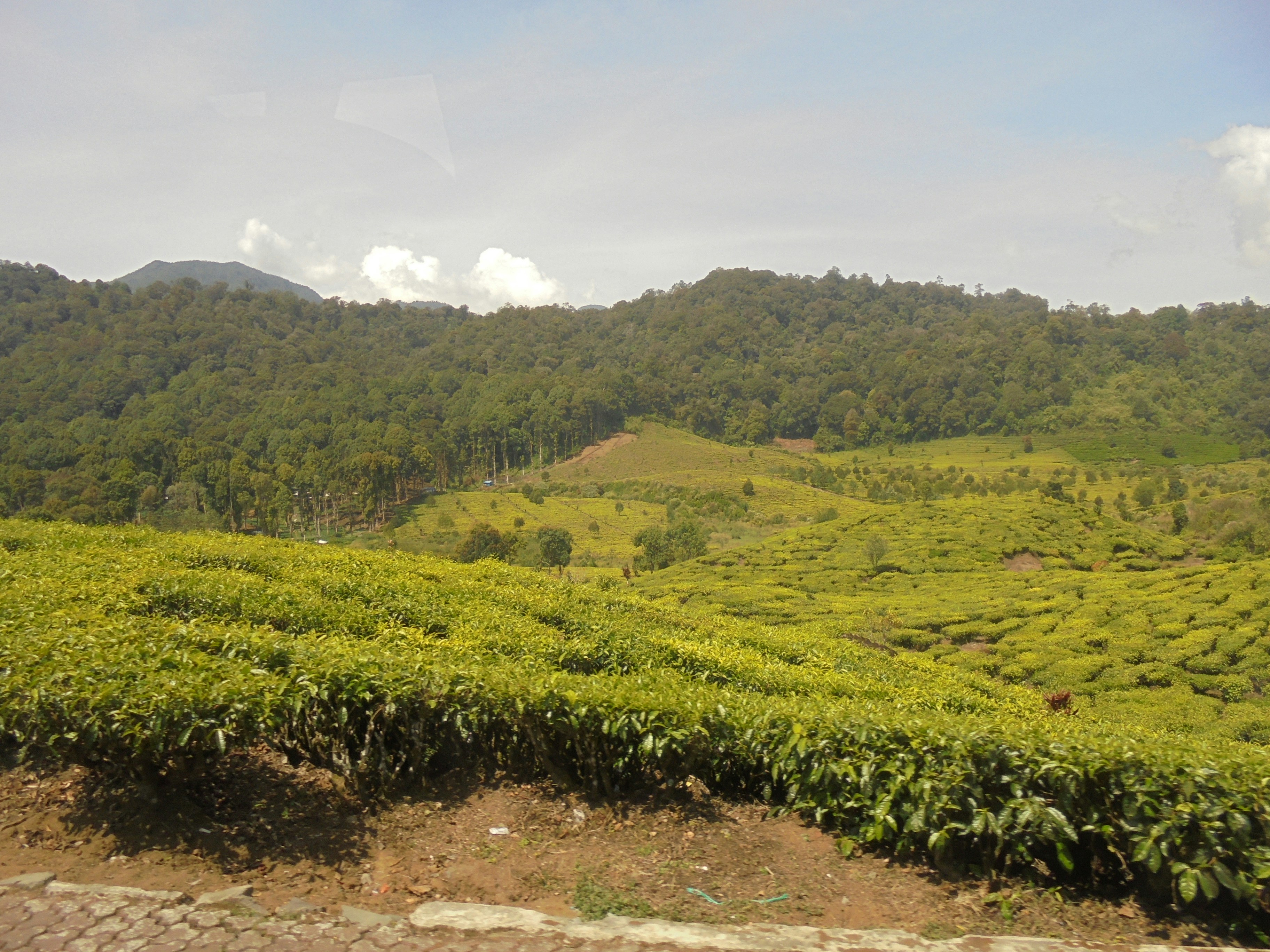 Photo by r_bramestian