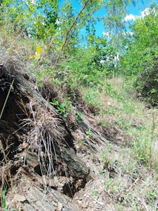 A vibrant landscape showcasing eco-friendly travel destinations.