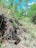 A vibrant Minecraft landscape showcasing diverse biomes and intricate builds.