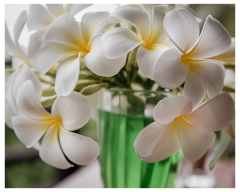 a green vase filled with white flowers on top of a table