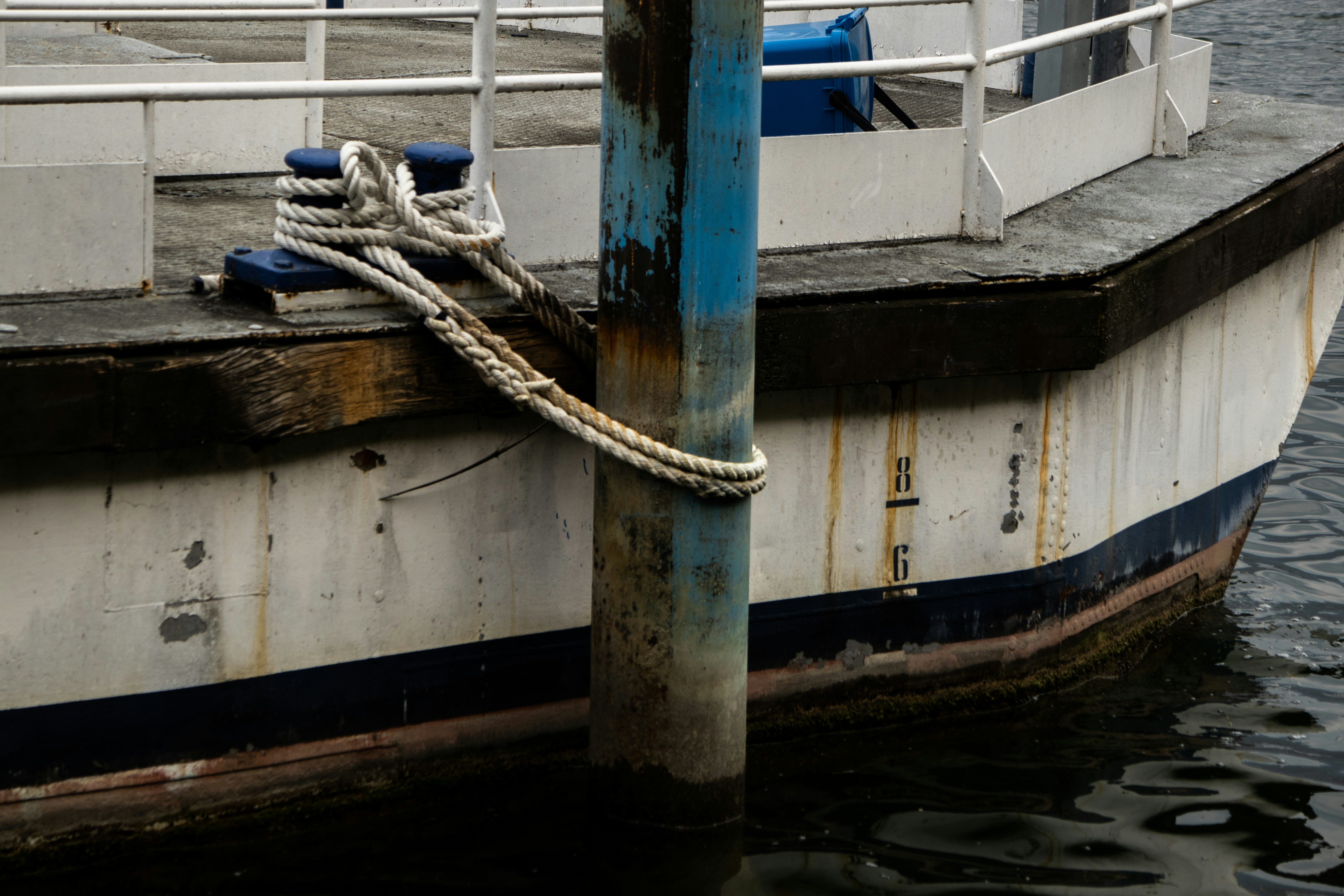 Photo by lascioliasia
