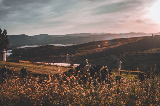 A wide aerial shot of rolling hills and rivers bathed in golden sunlight.