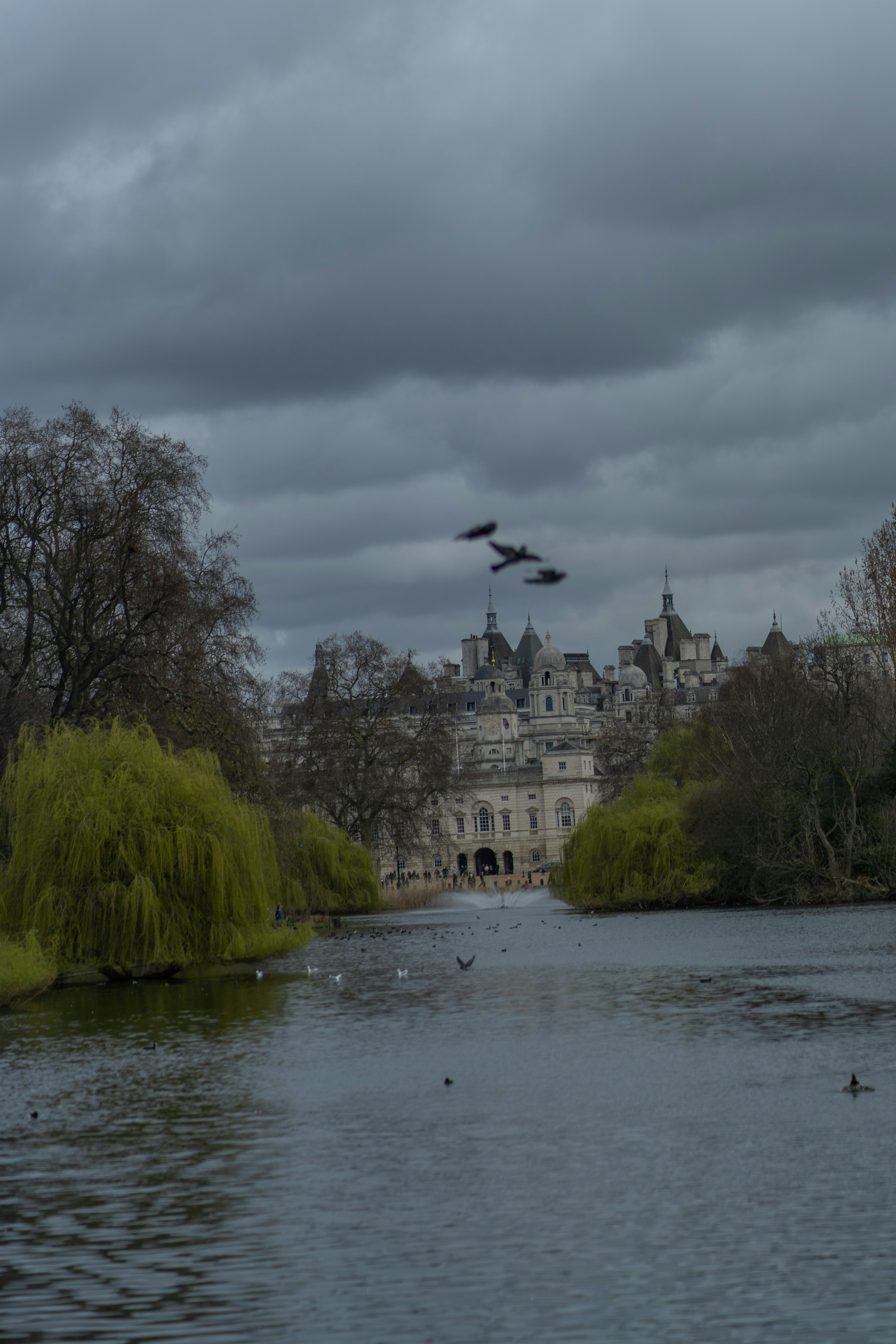two birds flying over a body of water