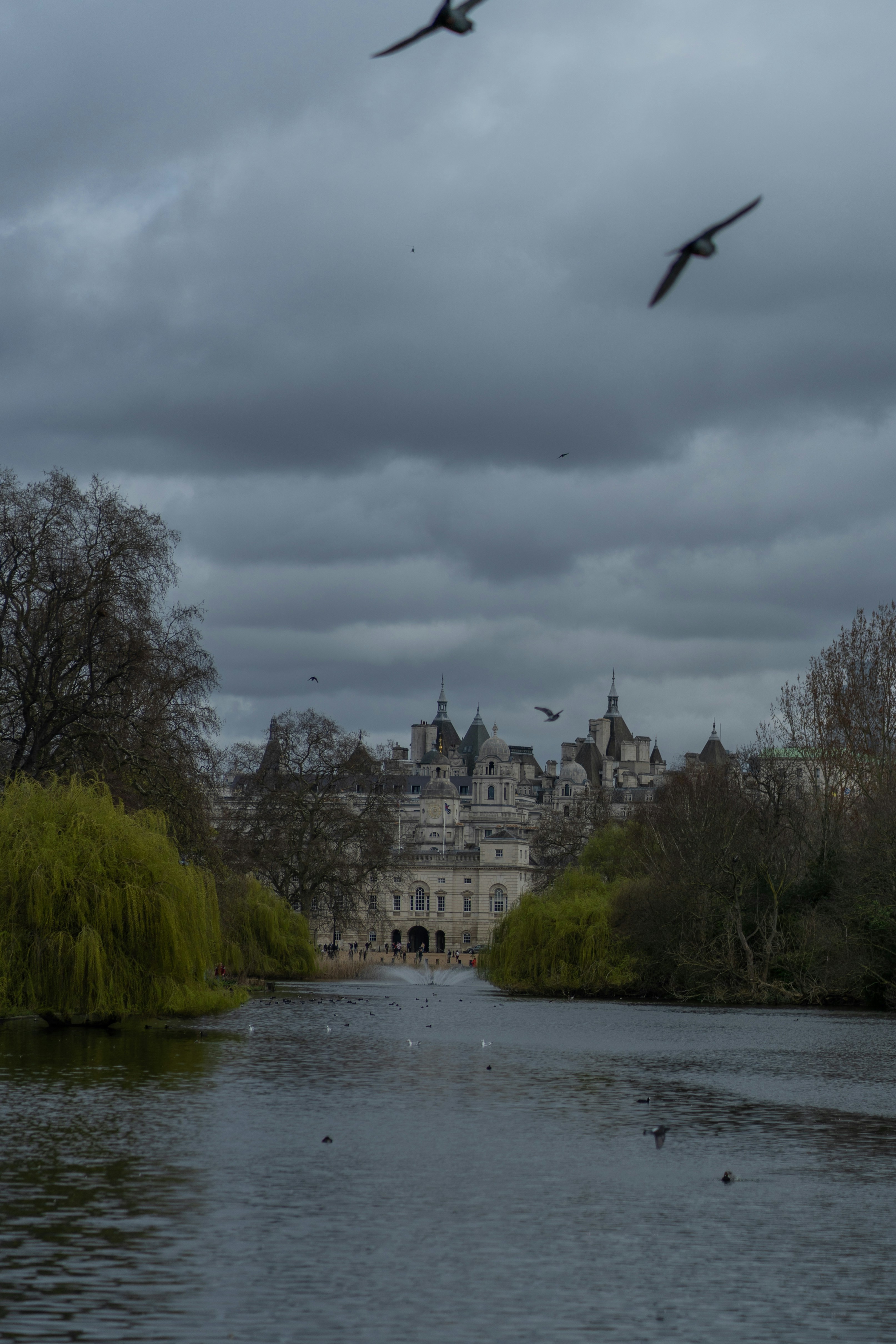 two birds flying over a body of water