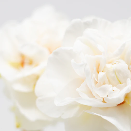 Close-up of a delicate handmade crochet flower in soft pastel yarn.