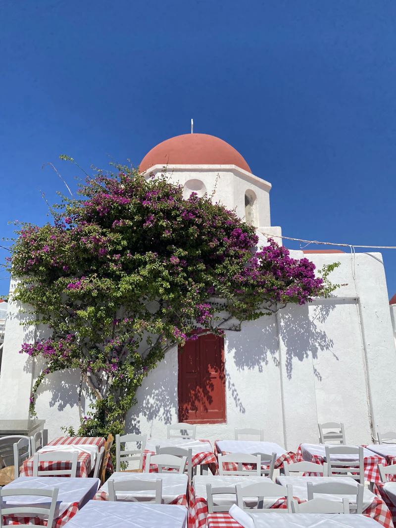 A whitewashed taverna with bougainvillea and checked tablecloths