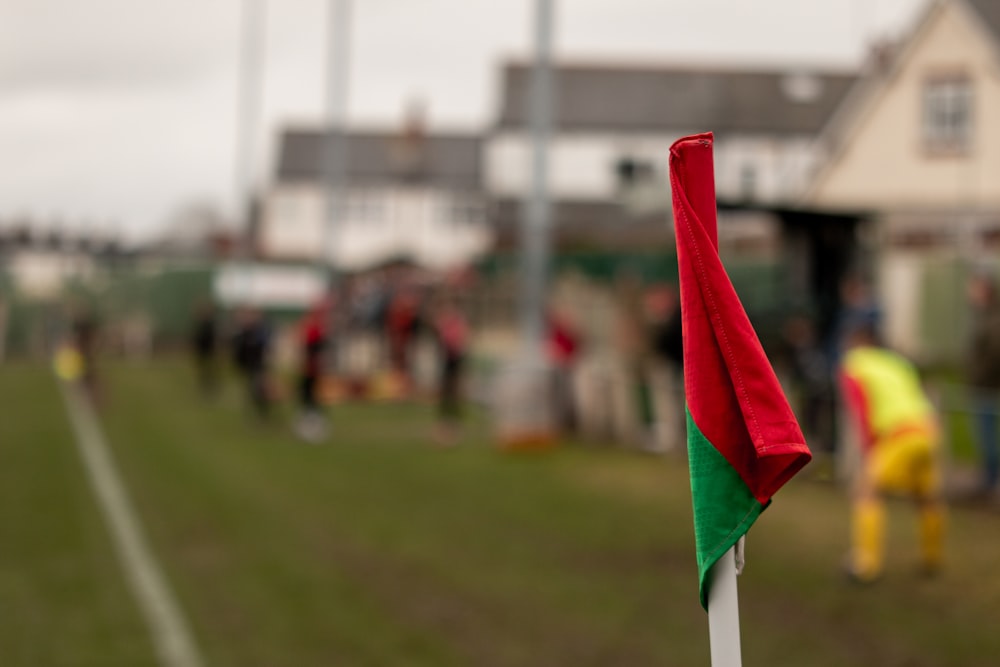 a red and green flag on a white stick
