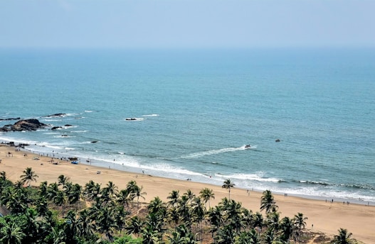 a beach with palm trees and people in the water
