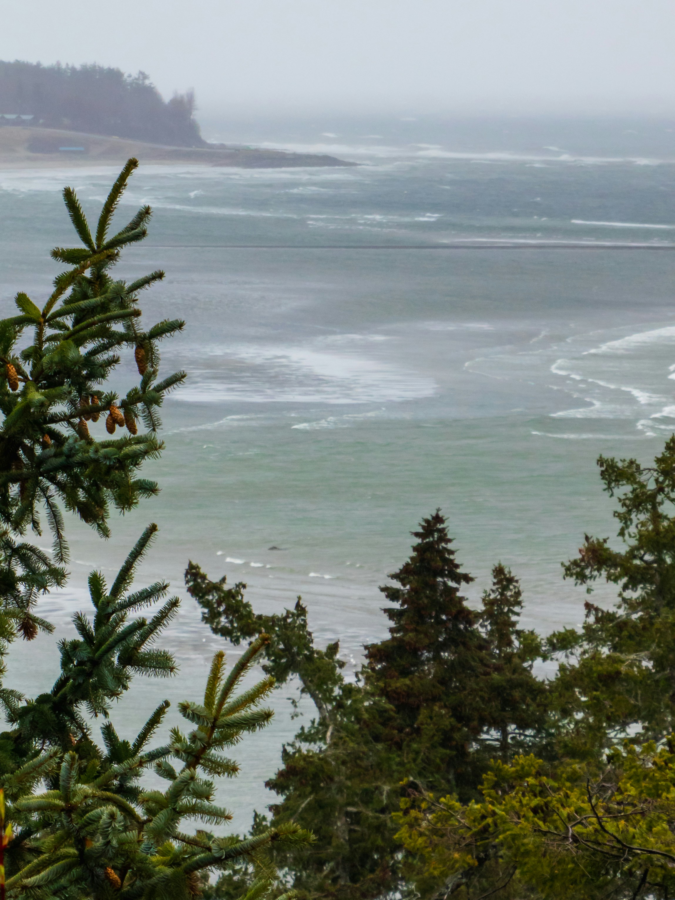 Photo by greg_rosenke