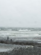a person and a dog walking on a beach