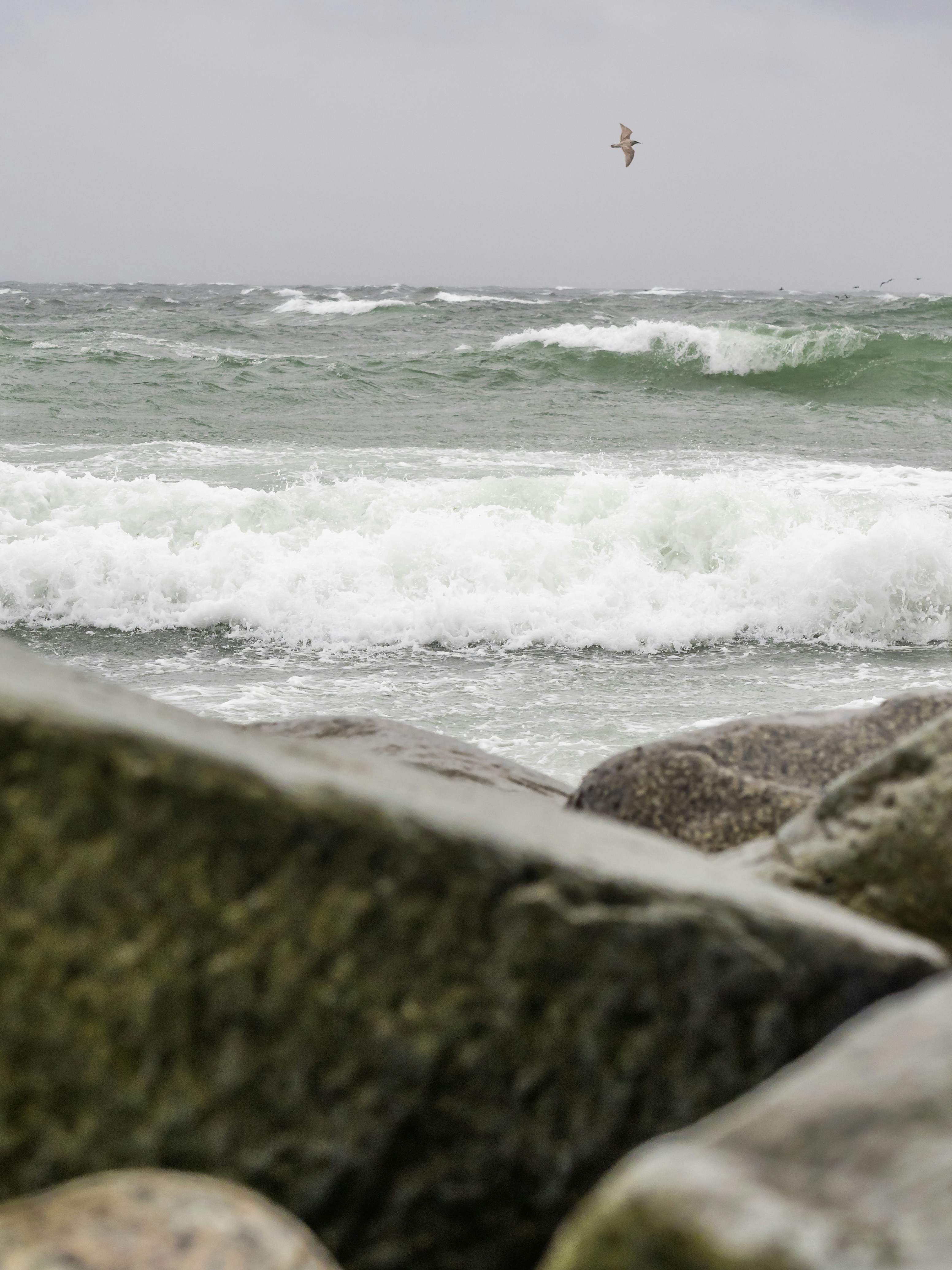 Photo by greg_rosenke